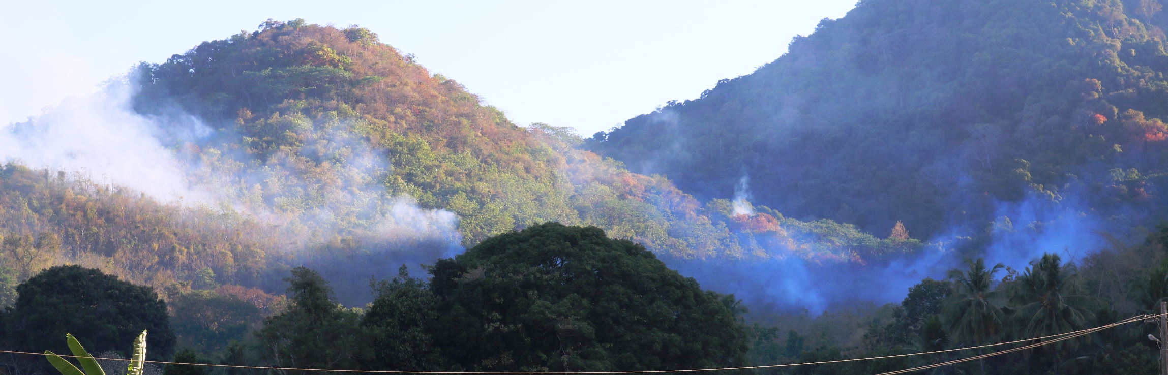 ಹೊನ್ನಾವರ: 42 ಎಕರೆ ಅರಣ್ಯ ಪ್ರದೇಶ ಬೆಂಕಿಗೆ ಆಹುತಿ